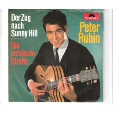 PETER RUBIN - Der Zug nach Sunny Hill